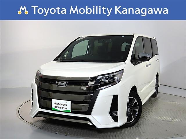 ʥ˥ĹΥɥ饤֤ڤΥʥ 1