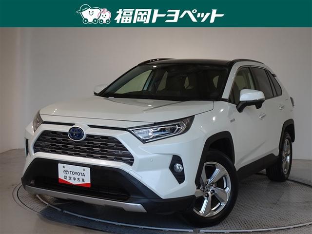 ȥ西 ң֣ ϥ֥åɣǡﳲڸƥࡡ꡼ʥӡե륻