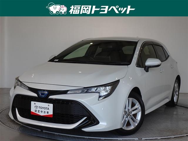 ȥ西 饹ݡ ϥ֥åɣǡﳲڸƥࡡ꡼ʥӡե륻