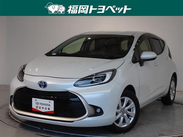 ȥ西  ڡﳲڸƥࡡ꡼ʥӡե륻