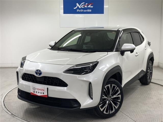 ȥ西 ꥹ ϥ֥åɣڡ꡼ʥӡߥ塼åץ쥤䡼³ġХå