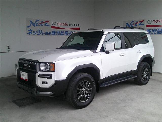 ȥɥˤϤʻȤˤ´ʤ 1