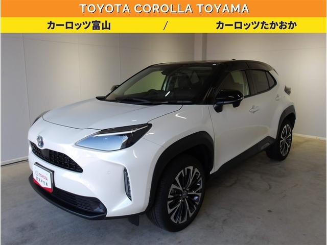 ꥹ ϥ֥åɣڡݥӡ롼ȥ롡ɥ饤֥쥳 1166093A20251204T002 1