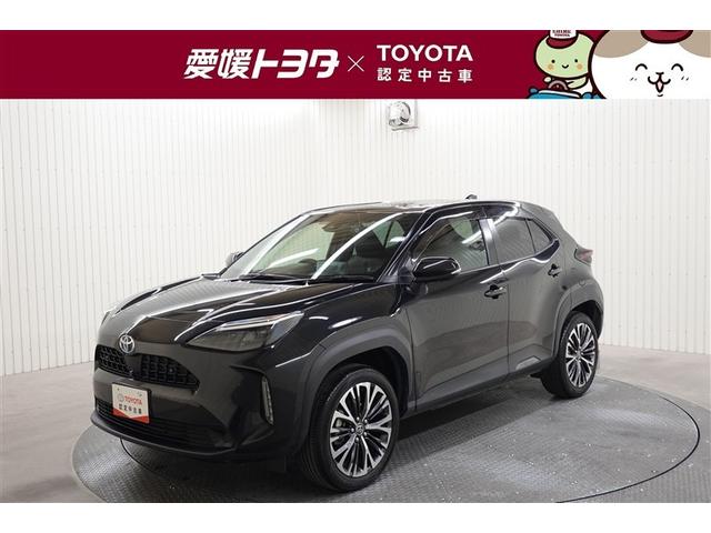 XNX(g^) nCubhy@obNJ@Փ˔QyVXe@dsb@hR@kdcwbhv@I[i[@L^ Îԉ摜