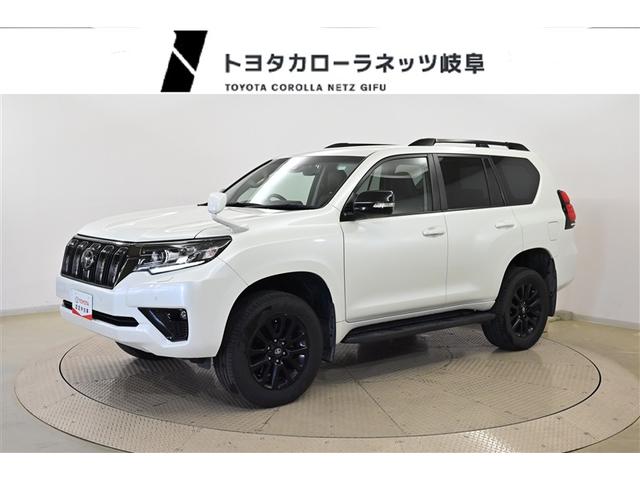 ȥ西 ɥ롼ץ ԣء̥ѥåꥢ顡ޡȥ