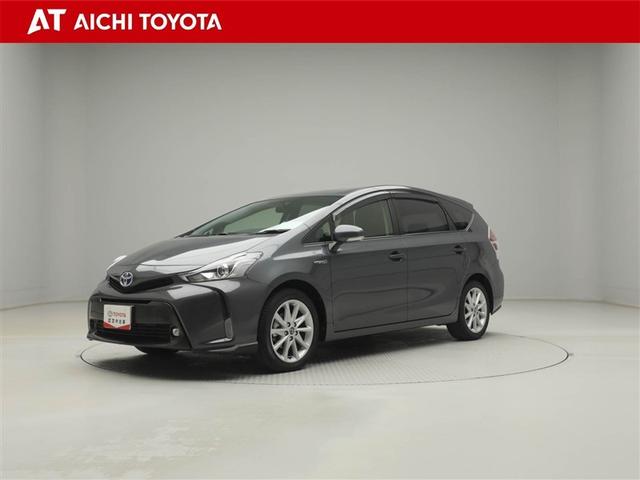 ȥ西 ץꥦ ǥġ󥰥쥯󡡣ʡӡʥӣԣ