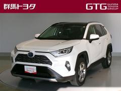 RAV4 ハイブリッドG サンルーフ 4WD フルセグ メモリーナビ ミュージックプレイヤー接続可 バックカメラ 衝突被害軽減システム ETC LEDヘッドランプ ワンオーナー 中古車画像