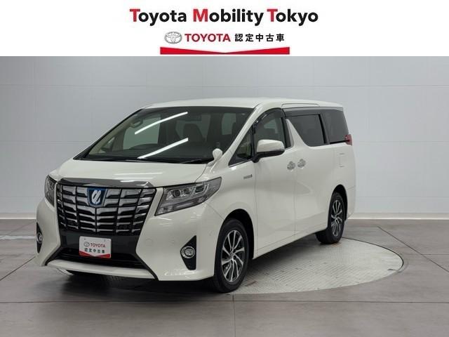 ȥ西 եɥϥ֥å ǡȥ롼ʥӣԣ֡ϥǥ