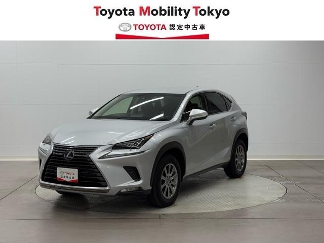 ŹϤ¿μҹʻߡ ꡼ʥӡ̥˥ȥҡ륳 1