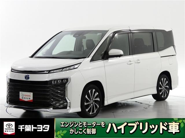 ǧżۣ֡ԥͥȤ̵ǤĺΤϡǯޤǤǤ 1