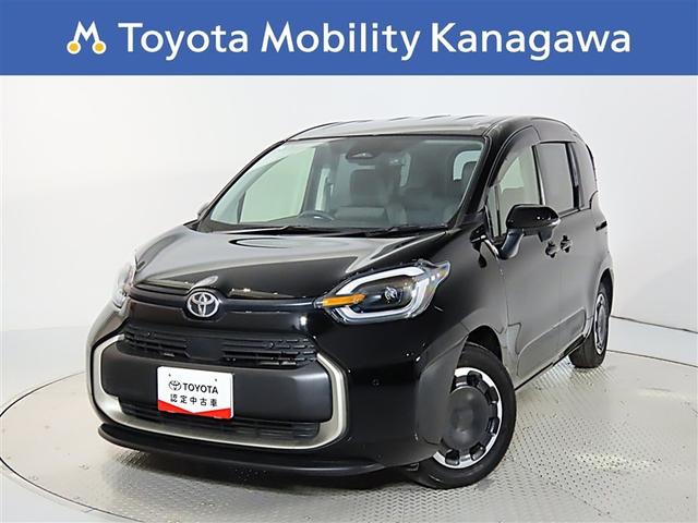 ʥ˥ĹΥɥ饤֤ڤ󥿡ͥƥåɥ 1