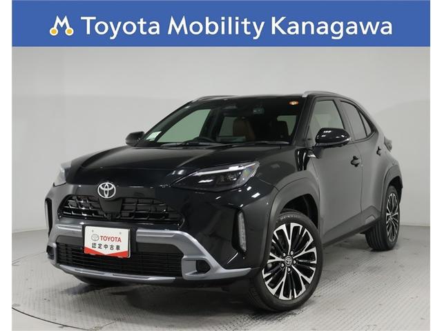 һ֡ģʥӡϥ˥ȣգġѥХåɥ 1