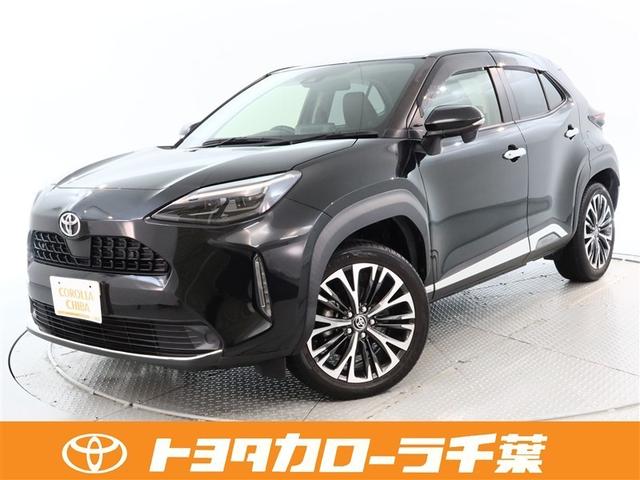 ﳲڸ֥졼̣ţĥإåɥסģХå顡ţԣá 1