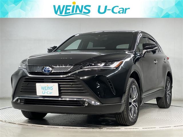 ȥ西 ϥꥢϥ֥å ǡͷڸϥǥ̣ţ