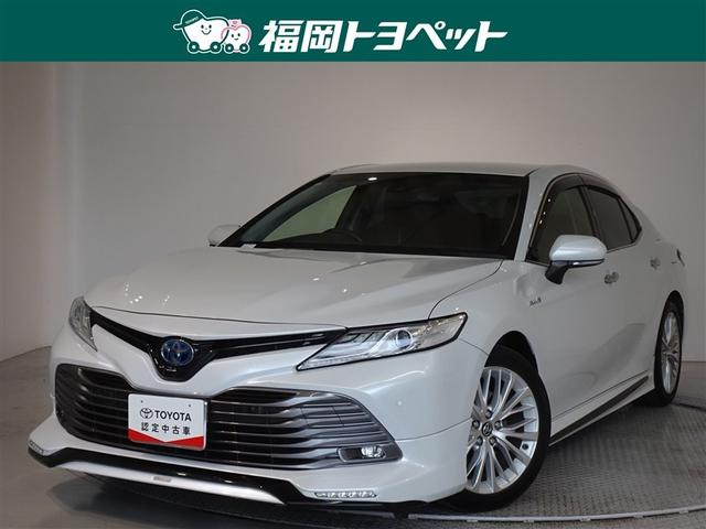 ȥ西  ǥ쥶ѥåﳲڸƥࡡ꡼ʥӡե륻