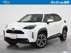 ꥹ ڡХå˥ɻߥƥࡡӡƥ󥨥Хåʥӡ롼á󡡥ޡȥݡߡե꡼ѥ凉ơ֥륨Хạ̊ţĥإåȡХåϿͭ£