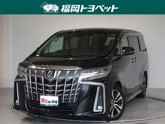 ե ӡåѥåﳲڸƥࡡ꡼ʥ 0802379A20251205T002 1