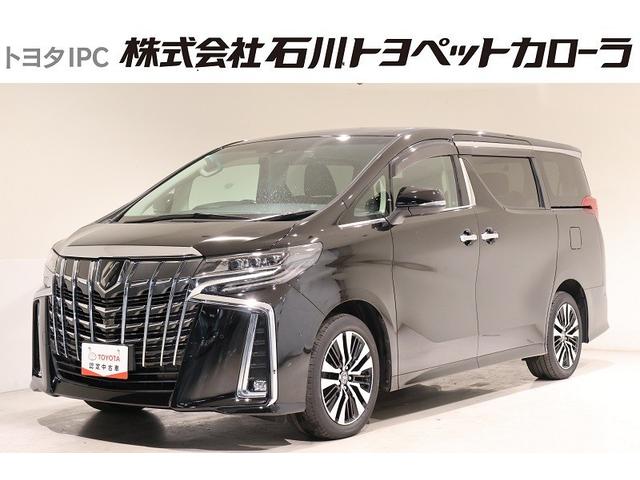 ȥ西 ե ӡåѥåףġե륻