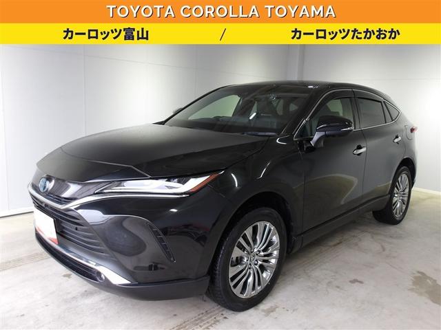 ݥӡϻ͡ףġ롼ȥ롡ɥ饤֥쥳 1