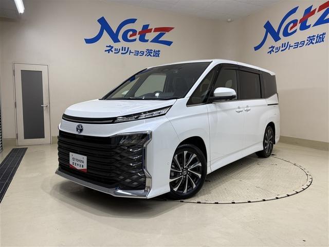 ڽۣģʥӡܣʥ˥ϥ顿ưХå 1