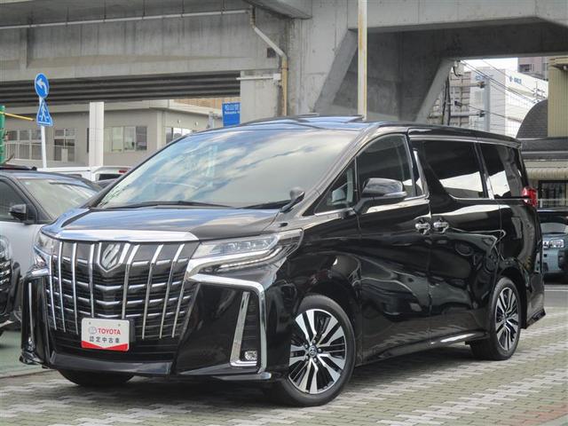 ģܥʥӥåȡХå顢ʥ˥ޡȥʥ 1