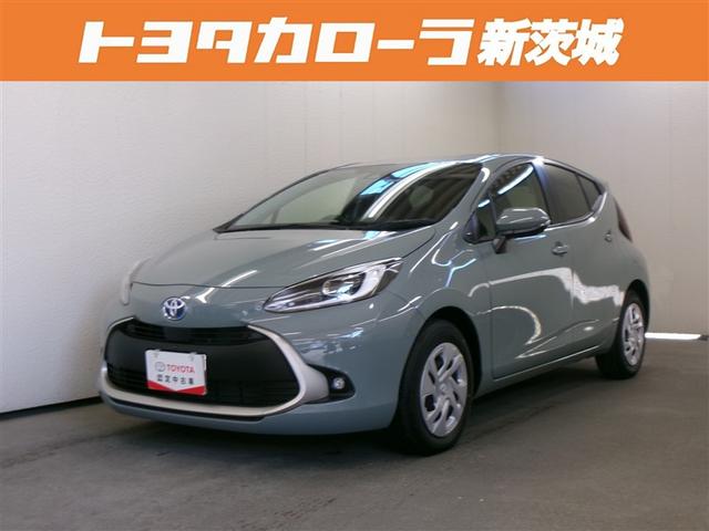 ȥ西  ǡ꡼ʥӡߥ塼åץ쥤䡼³ġХå