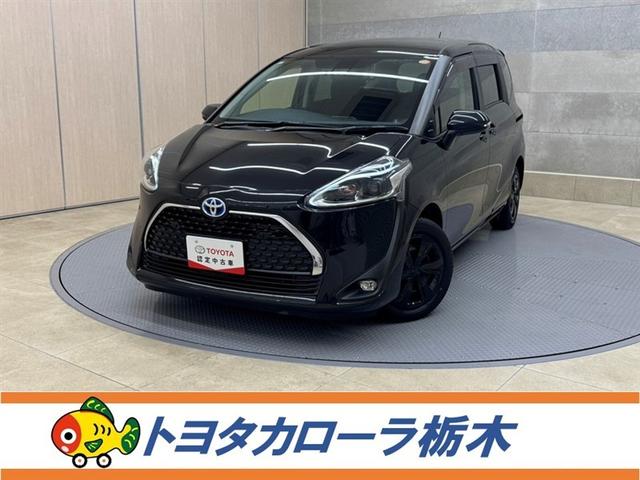 ȥ西  ϥ֥åɥե١ǥեƥǥɣɡ;ꡡɥ쥳ե륻¢꡼ʥ