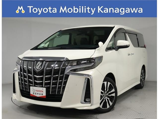 ȥ西 ե ӡåѥåȥ西ǧż֡ر