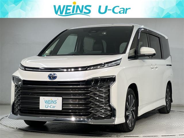 ȥ西  ϥ֥åɣӡݣڡѥɥģ֣ĺǽƥꥭ