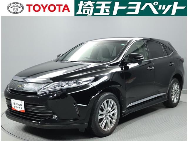 ȥ西 ϥꥢ ץߥࡡƥ󥨥Хå롼áϿ