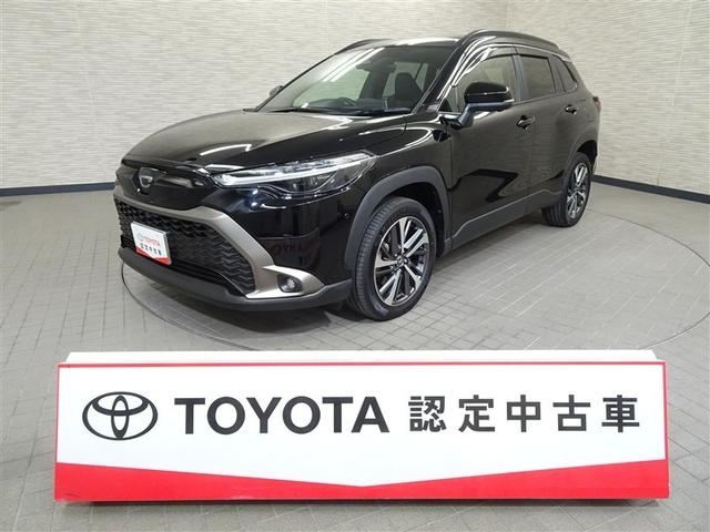 䤤礻ե꡼룰ݣݣ Ҥż䥨ꥢʼ˸ΤߤȤʤޤޤžŪΤͤؤ 1