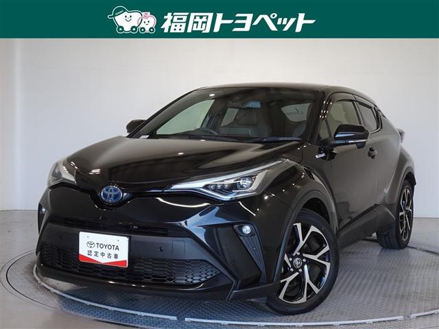 ȥ西 áݣȣ ǡﳲڸƥࡡե륻Хå