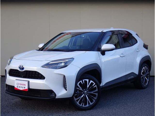 ȥ西 ꥹ ϥ֥åɣڡףġե륻꡼ʥ