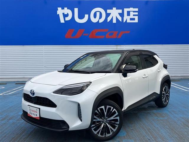 ȥ西 ꥹ ϥ֥åɣڡե륻ģ֣ĺХå