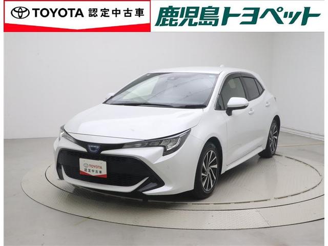 ȥ西 饹ݡ ϥ֥åɣǡﳲڸ֥졼¥顡Ͽ