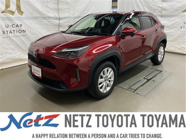 ꥹ ǡե륻꡼ʥӡߥ塼åץ쥤䡼³ 1157473A20251206T001 1