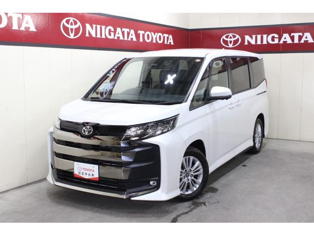 ȥ西 Υ ӡݣǡʥӡԣ֡ξ¦ư饤ɡﳲڸƥ