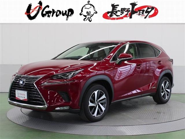 ƻܸؤ˸¤餻ƤƤޤ 1