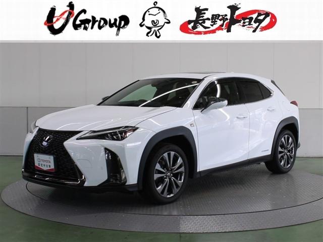 ƻܸؤ˸¤餻ƤƤޤ 1