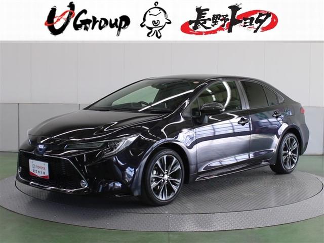  ϥ֥åɡ֥Хӡե륻꡼ʥ 9030019A20251206T004 1