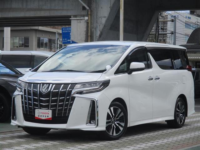 ȥ西 ե ӡåѥåե륻꡼ʥ