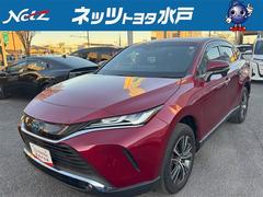 ϥꥢϥ֥å ǡͷڸߥۥ롡Ͽͭ£ӡѥƥ󥰡ȥ󡡥Хåѥɥǥ奢륨Хå