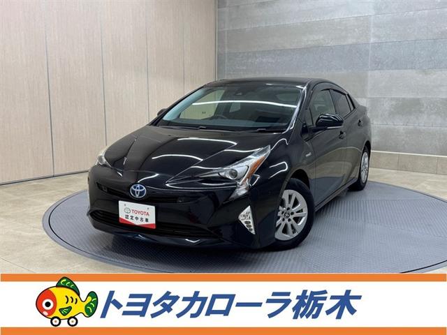 ȥ西 ץꥦ ӥեƥץ饹ﳲڸ֥졼ڥƧߴְ㤤ȯ֡ʥ