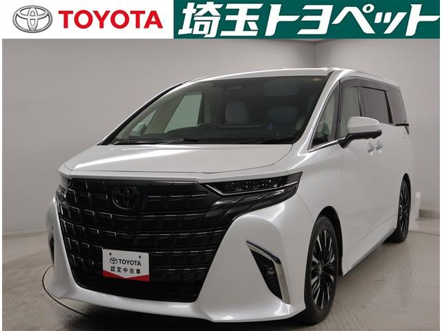 ȥ西ǧż ԸˤʤޤŹˤ䤤碌 1