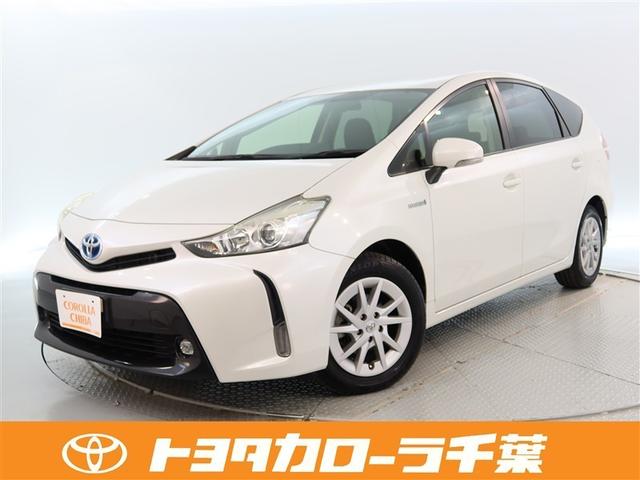 ȥ西 ץꥦե ӡǯ̵ݾڡʥӡե륻ԣ