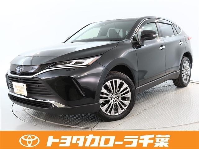 ֡ե륻ԣ֡ţԣáХå˥̣ţĥإåɥ饤ȡ 1