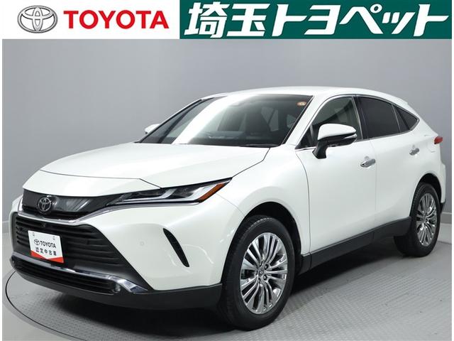 ȥ西ǧż ԸˤʤޤŹˤ䤤碌 1