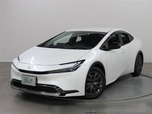 ŹĺʡΤͤؤ˸¤餻Ƥޤ 1