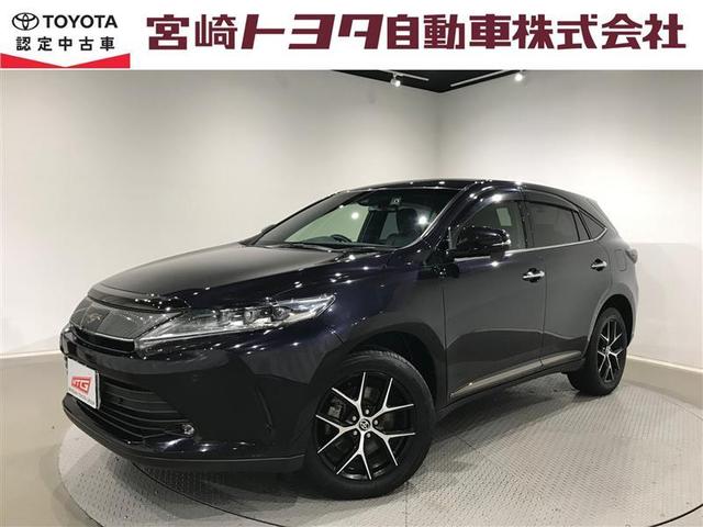 ϥꥢ ץߥࡡΥ롡ϥǥʥӣԣ 0840216A20251207T001 1