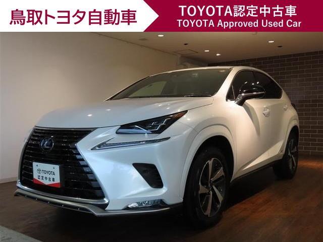 쥯 Σ Σأ衡ѥåﳲڸƥࡡե륻